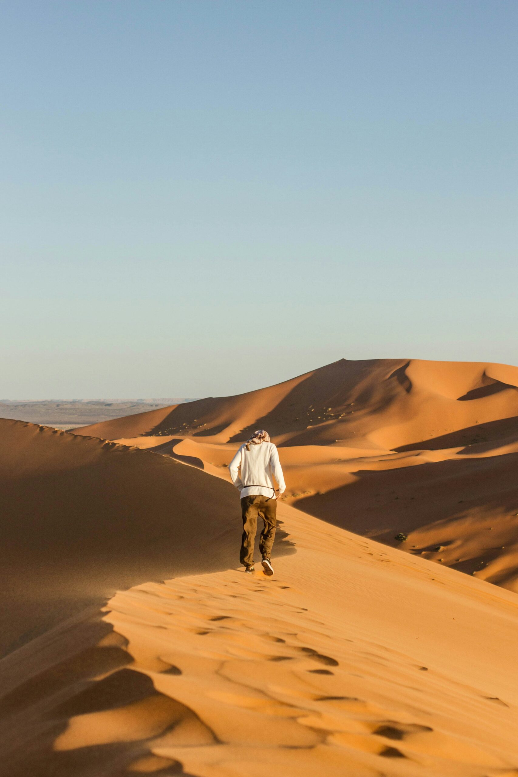 anton jauregui zbixdppgsre unsplash